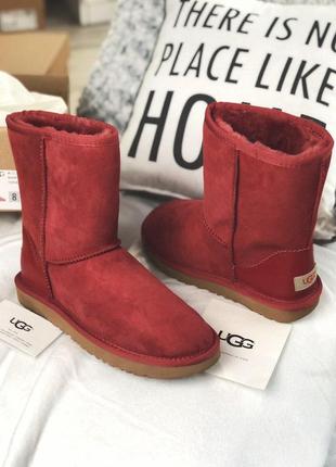 Жіночі угги ugg3 фото