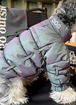 Куртка для собаки пуховик