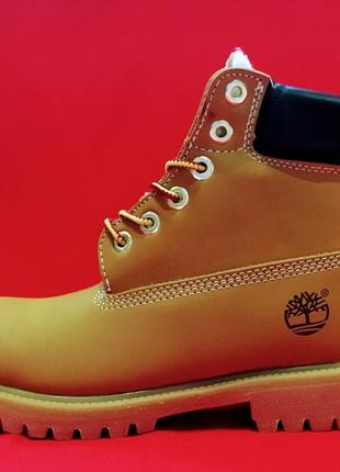 Зимние женские ботинки timberland1 фото