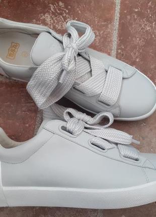 Ash шкіряні снікерси, кросівки, кеди