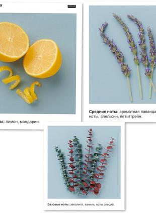 Сша 🇺🇸 yankee candle бестселер аромасвеа лимон 🍋 і лаванда - чистота та релакс4 фото