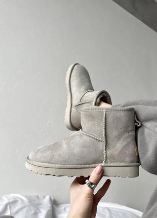 Замшеві натуральні угі міні, ugg mini premium, світло сірі, овчина