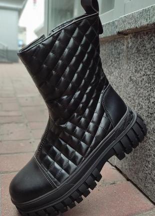 Чобітки зимові