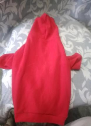 Комбінезон