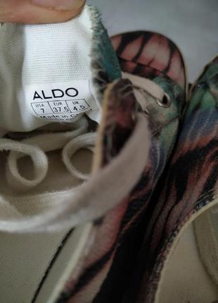 Кеды  aldo 37.54 фото