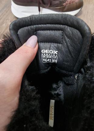 Женские зимние ботинки geox5 фото