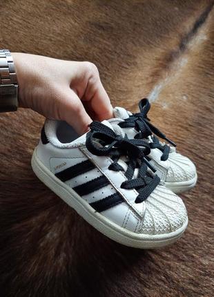 Стильные кожаные кроссовки adidas superstar