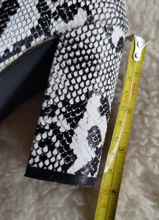 Ботильоны со змеиным принтом