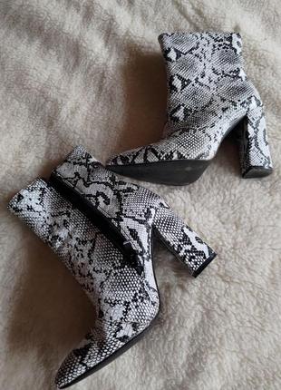Ботильоны со змеиным принтом
