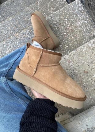 Замшевые угги ультра мини на платформе 4 см, ugg ultra mini platform beige. овчина внутри