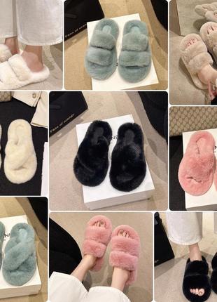 Домашні тапулі