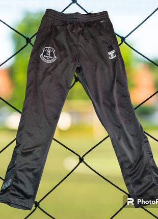 Спортивные, футбольные штаны hummel fc everton