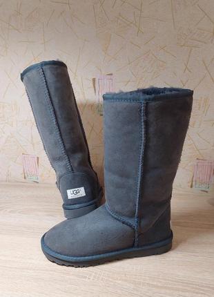 Женские теплые ugg,w8