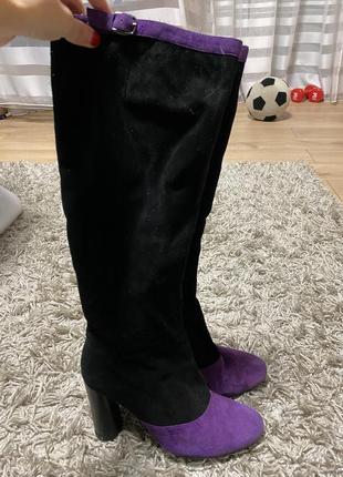 Чоботи жіночі