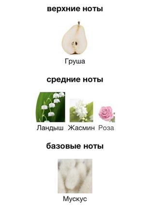 Edt the body shop white musk l'eau унисекс 60 мл редкость4 фото