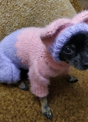 В'язаний комбінезон для маленьких собак із шапочкою, колір рожевий бузковий6 фото