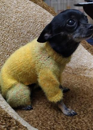 Вязаный полушерстяной комбинезон для собак, ручная работа, цвет - желтый1 фото
