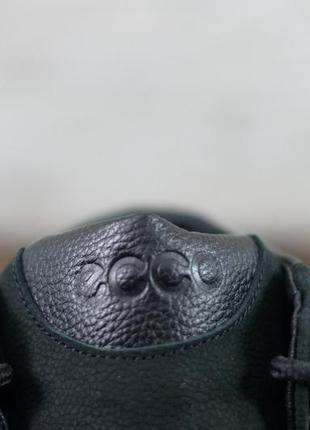 Зимние мужские ботинки с логотипом ecco на меху натуральный нубук5 фото