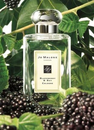 Jo malone london blackberry&bay парфуми туалетна вода адиколон тестер