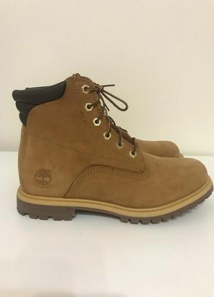 Черевики timberland2 фото