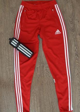 Брюки зауженные adidas con14 trg футбол xs,s,m4 фото