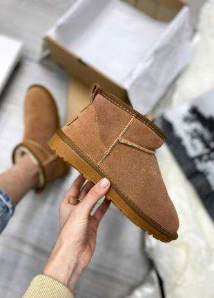 Жіночі угги  ugg mini