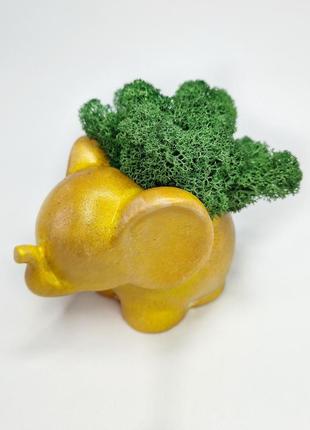 Стабілізований мох у кашпо декоративне кашпо у формі людини мох зелений у кашпо декор для офісу