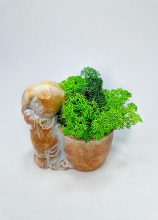 Стабилизированный мох в кашпо кашпо собачка с корзиной декоративный мох в кашпо декор для спальни5 фото