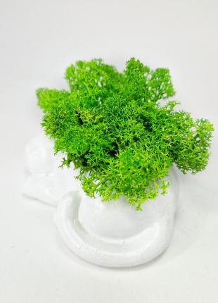 Стабилизированный мох в кашпо кашпо в форме котика оригинальный дизайн зеленый декоративный мох5 фото