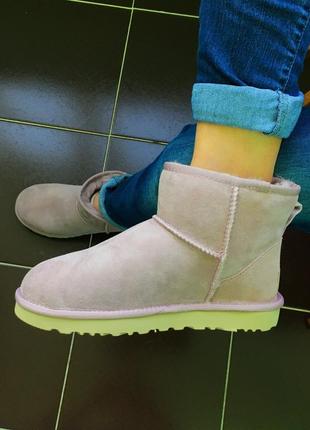 Жіночі угги ugg classic mini ii9 фото