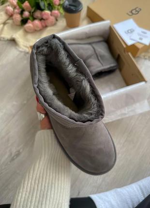 Жіночі угги  ugg classic ii mini6 фото