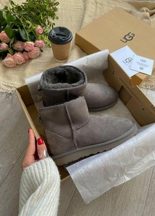 Жіночі угги  ugg classic ii mini2 фото