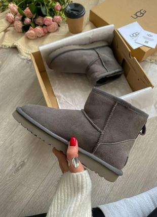 Жіночі угги  ugg classic ii mini7 фото