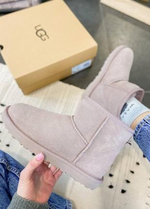 Жіночі угги  ugg classic mini ii5 фото