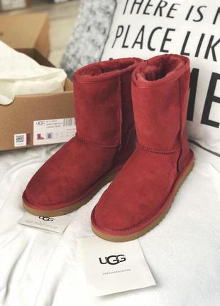 Жіночі угги ugg8 фото