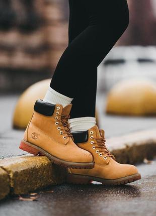 Зимние женские ботинки timberland2 фото