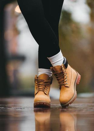 Зимние женские ботинки timberland10 фото