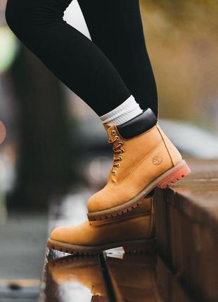 Зимние женские ботинки timberland9 фото