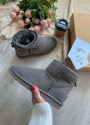 Жіночі угги  ugg classic ii mini5 фото