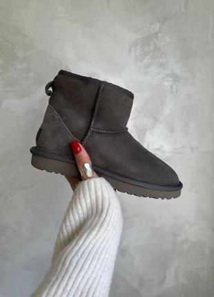 Жіночі угги  ugg classic ii mini8 фото