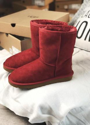 Жіночі угги ugg6 фото