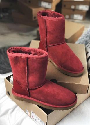 Жіночі угги ugg2 фото