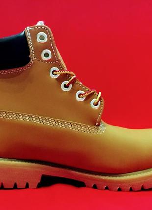 Зимние женские ботинки timberland4 фото