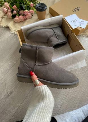 Жіночі угги  ugg classic ii mini1 фото