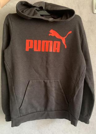 Свитшот puma3 фото