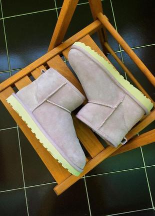 Жіночі угги ugg classic mini ii3 фото