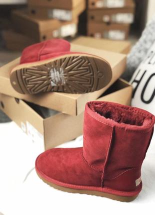 Жіночі угги ugg7 фото