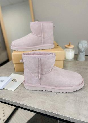 Жіночі угги  ugg classic mini ii6 фото