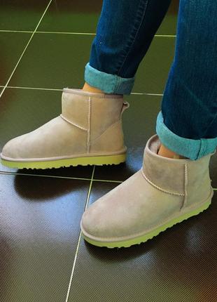 Жіночі угги ugg classic mini ii5 фото