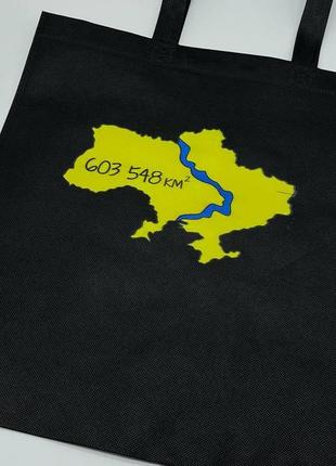 Еко сумка спанбонд 33х38см "603 548 км2"